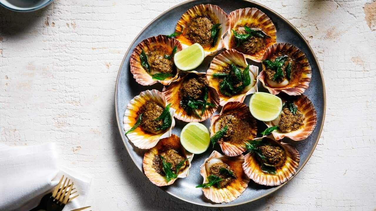 Roasted scallops with curry butter