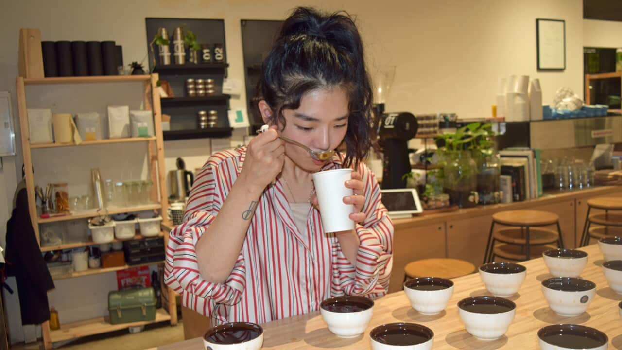 Image for read more article 'READ MORE'