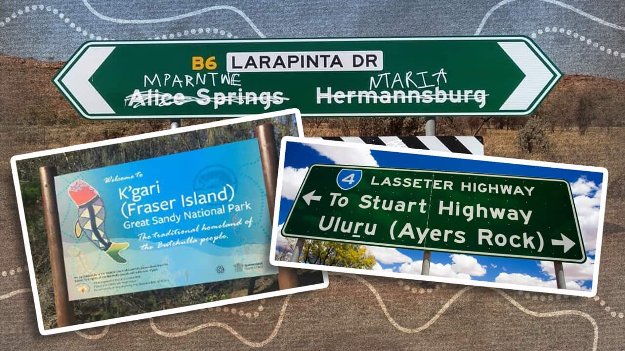 Image for read more article 'READ MORE'