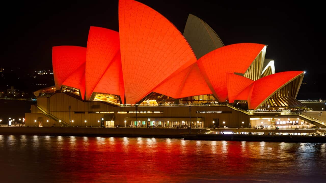 2026 Lunar New Year - Multicultural NSW © Salty Dingo 2026