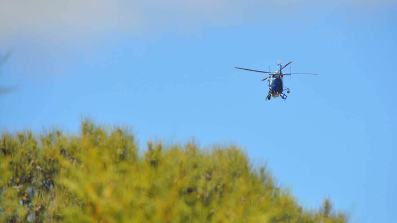 Police search bushland