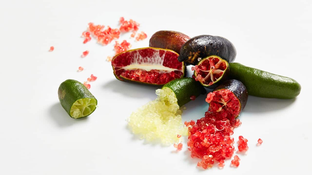 About Native Australian food | SBS Food