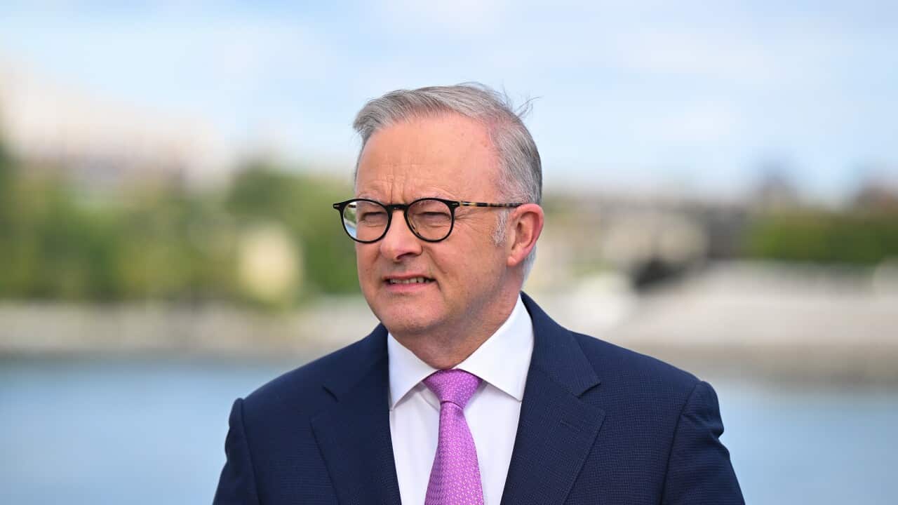 ANTHONY ALBANESE UNITED NATIONS