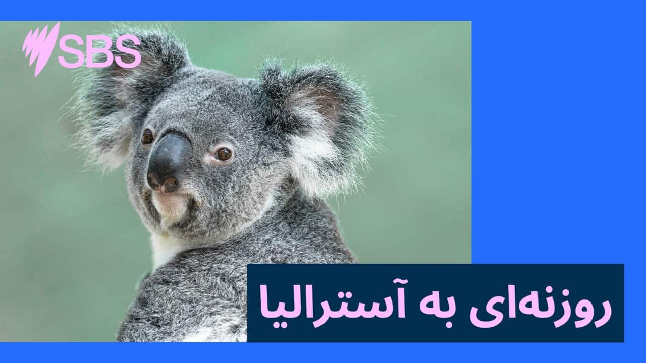 Image for read more article 'قسمتهای قبلی روزنهای به آسترالیا را در زیر پیدا کنید:'