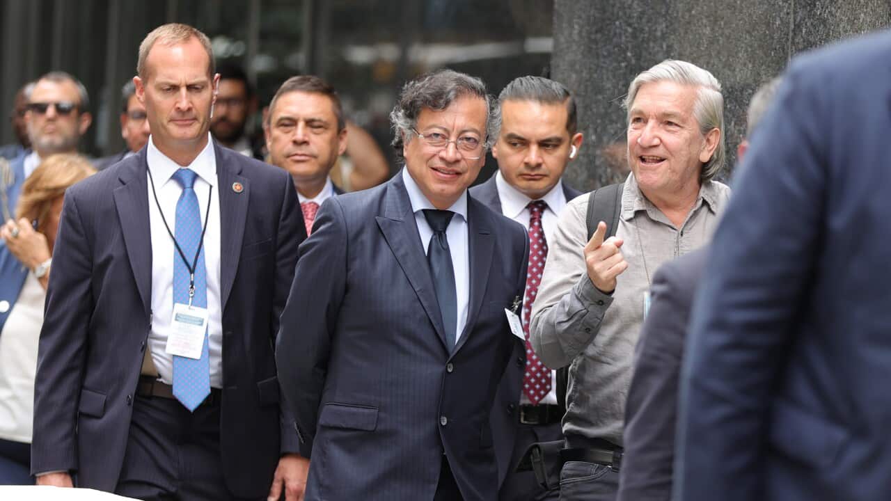 Image for read more article 'TE PUEDE INTERESAR:'