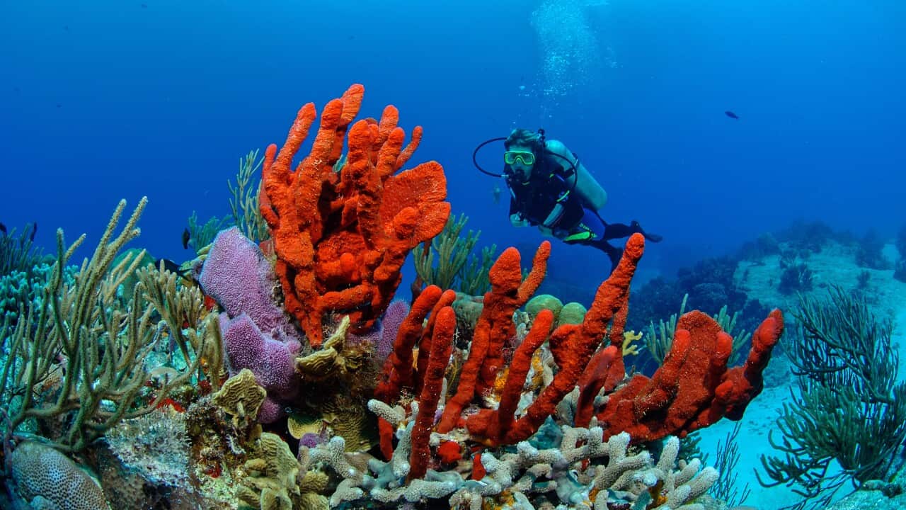 Image for read more article 'MÁS NOTICIAS:'