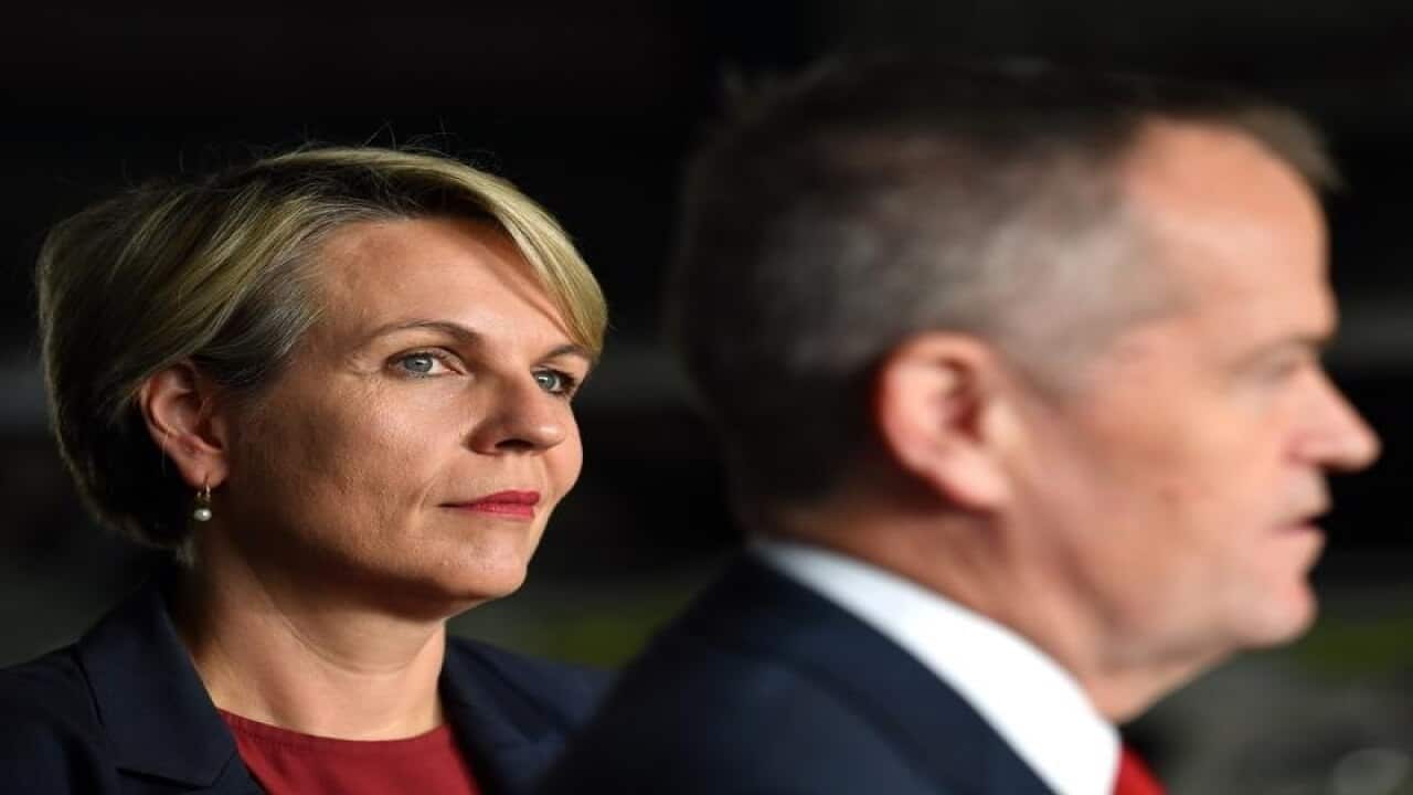 Tanya Plibersek