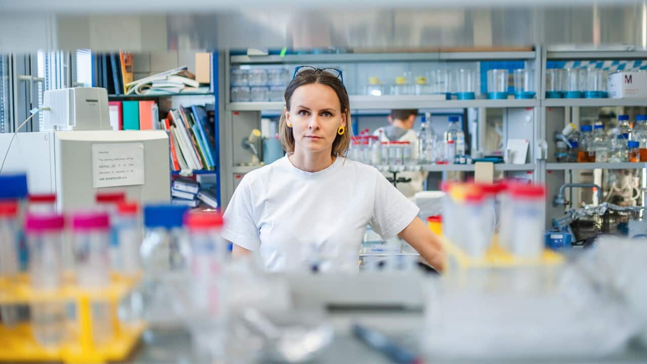 MUDr. RNDr. Dominika Fričova PhD.
