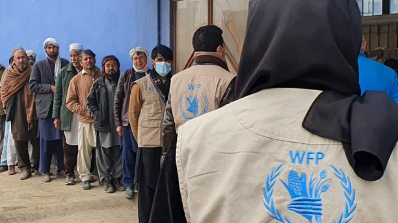 WFP in Afghanistan.png