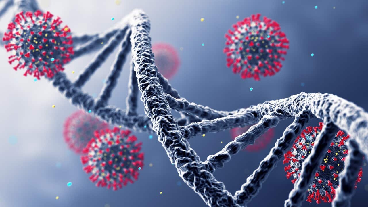 DNA Virus WideVariants of the COVID virus continue to challenge scientists.