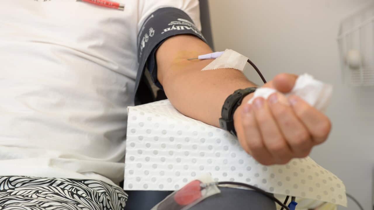 A blood donation at a mobile donor centre in Sydney