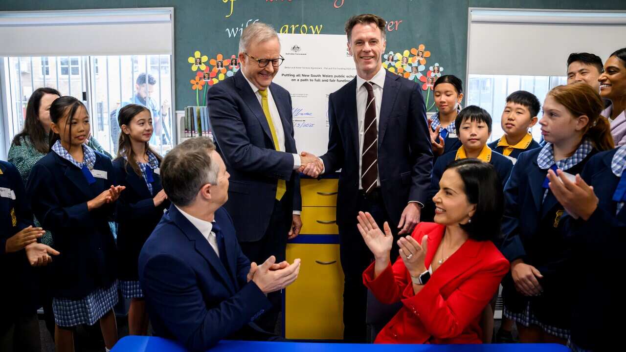 ANTHONY ALBANESE SYDNEY PRESSER