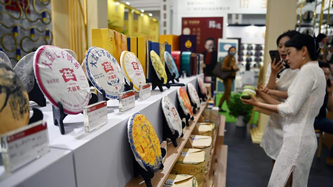 Image for read more article '相關內容'