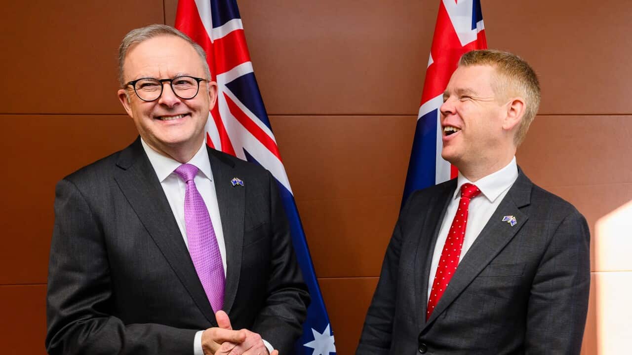 ANTHONY ALBANESE NZ VISIT