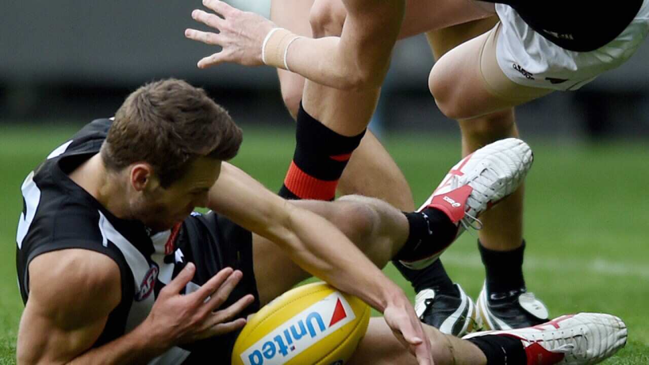 Matt Scharenberg of the Magpies