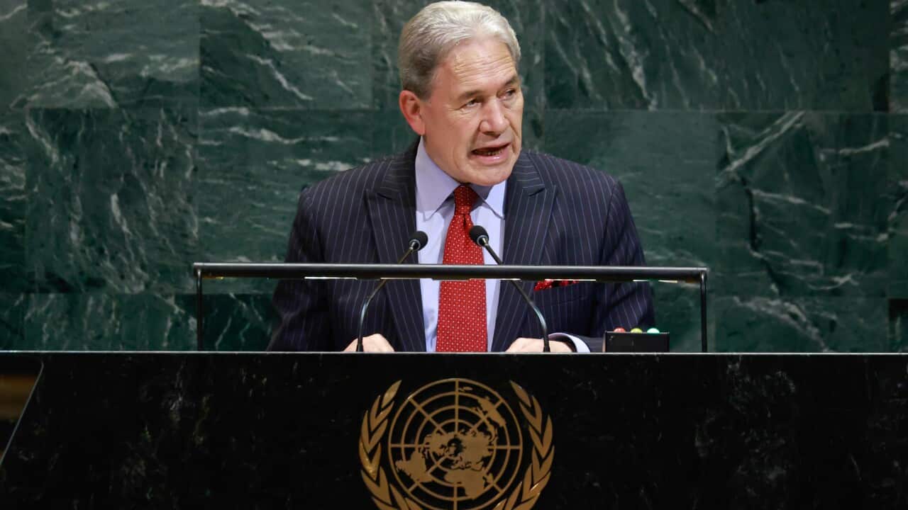 New -Zeeland will not recognize a Palestinian state ‘at the moment’ New -Zeeland will not recognize a Palestinian state ‘at the moment’