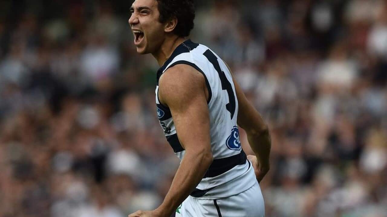 Nakia Cockatoo of the Cats