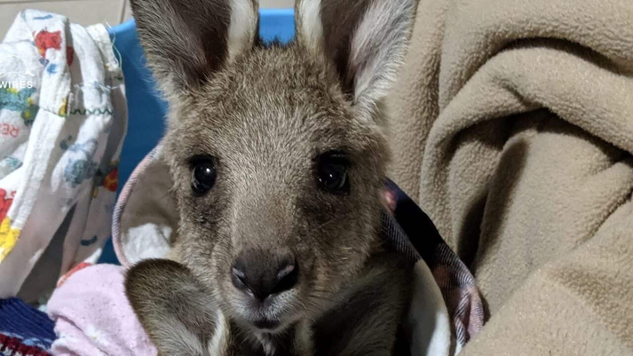 Image for read more article ''