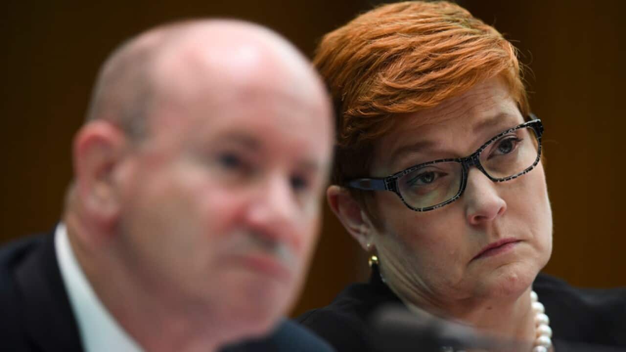Foreign Minister Marise Payne at a Senate Estimates hearing
