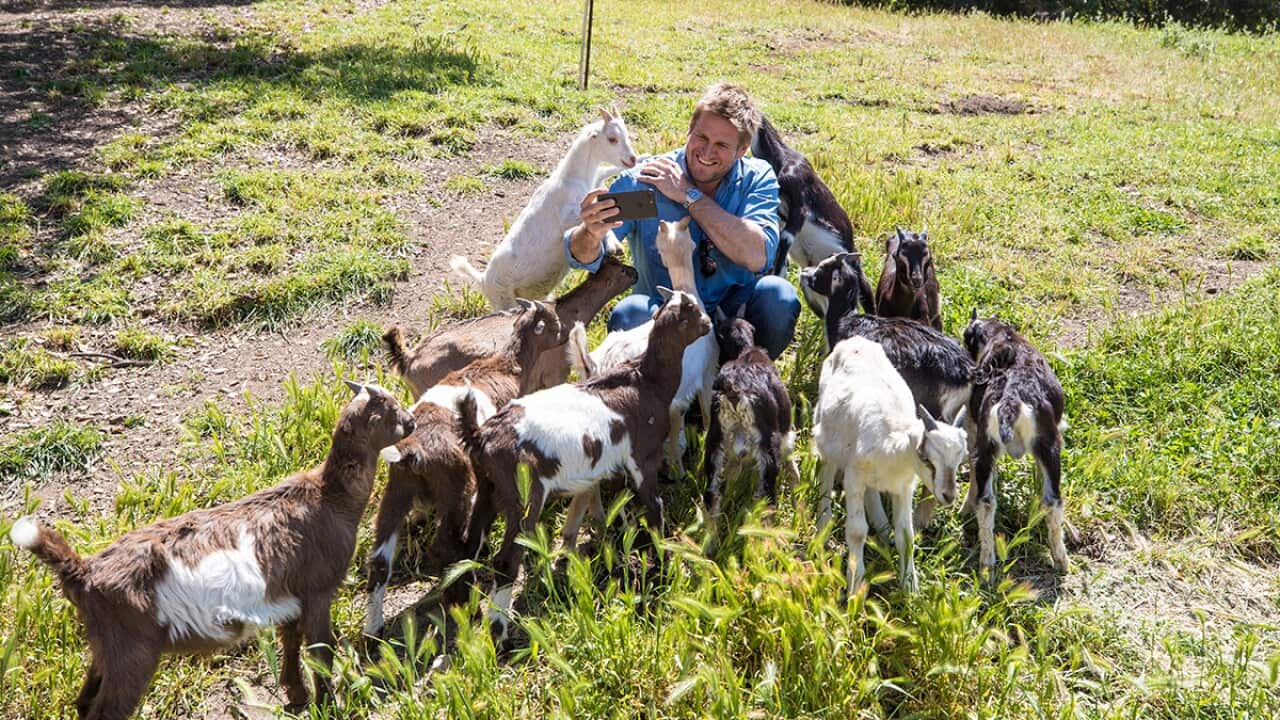 Curtis Stone at Stepladder Ranch in Field Trip show