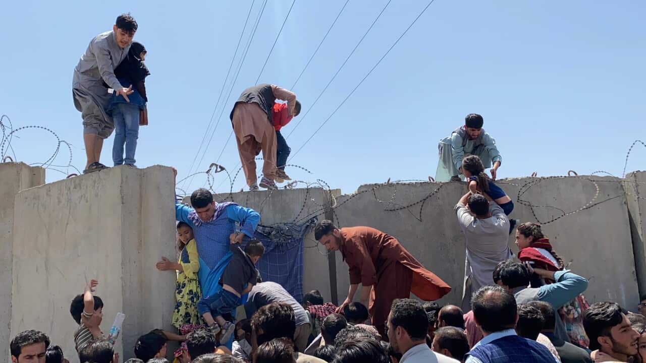 People struggle to cross the boundary wall of Hamid Karzai International Airport to flee Afghanistan.