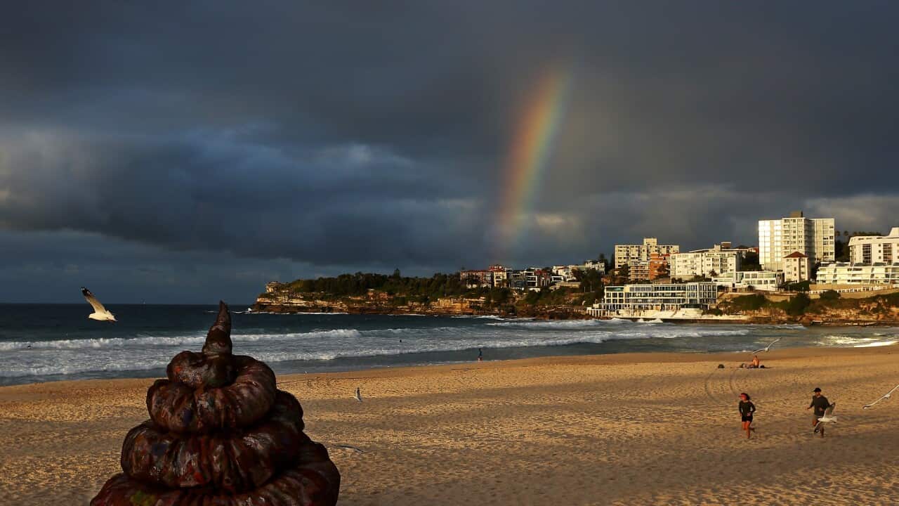 Sculpture Of Faeces Made Of Out Plastic Educates People On Plastic Pollution