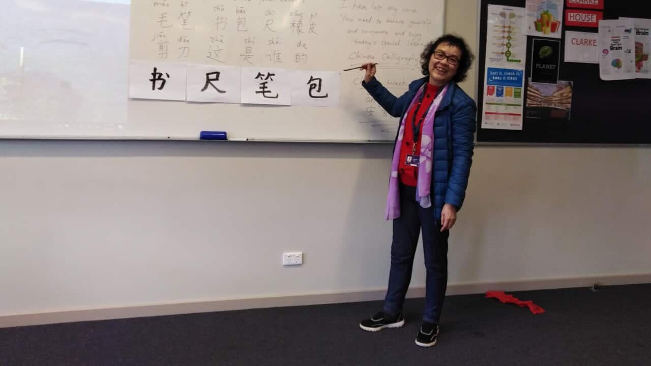 Image for read more article ''