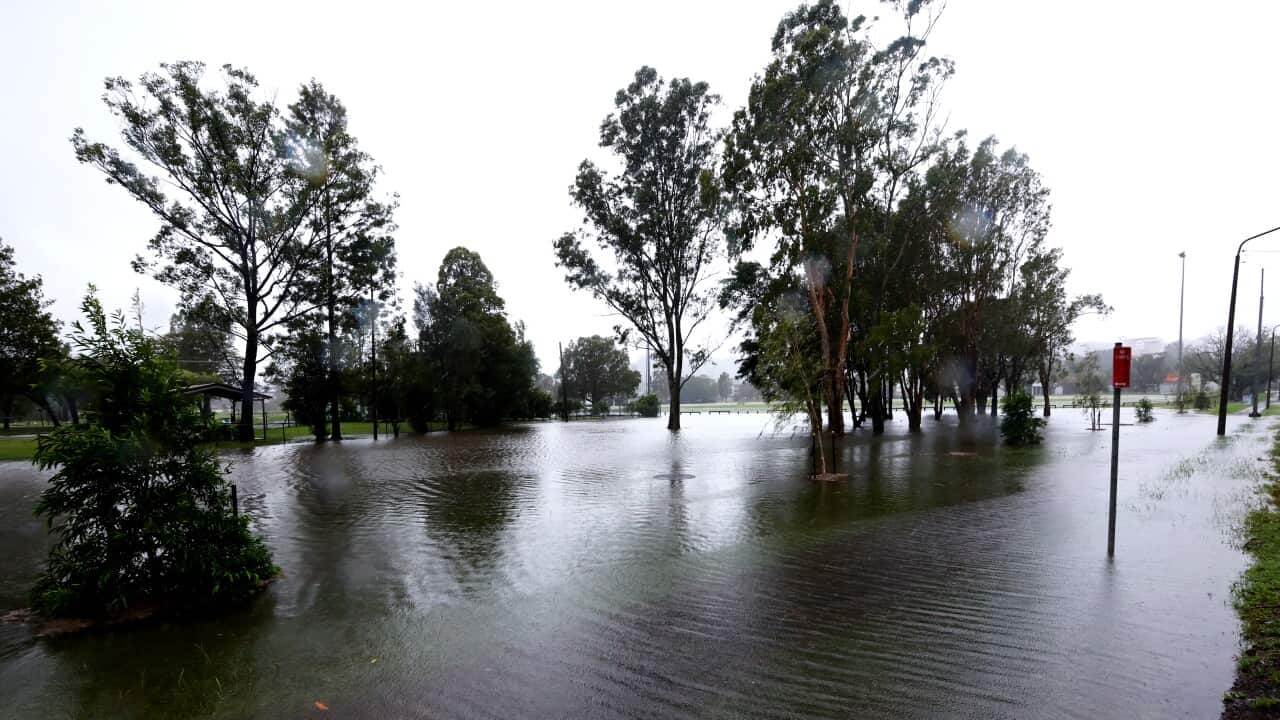 A flooded area in New South Wales