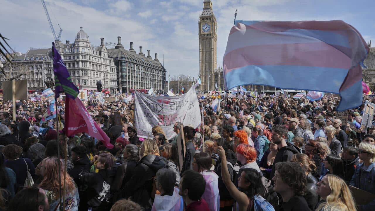 A large group of people protesting, some holding up signs and flags.