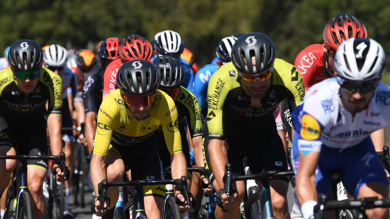 Mitchelton-Scott, Adam Yates, Tour de France, Stage 7