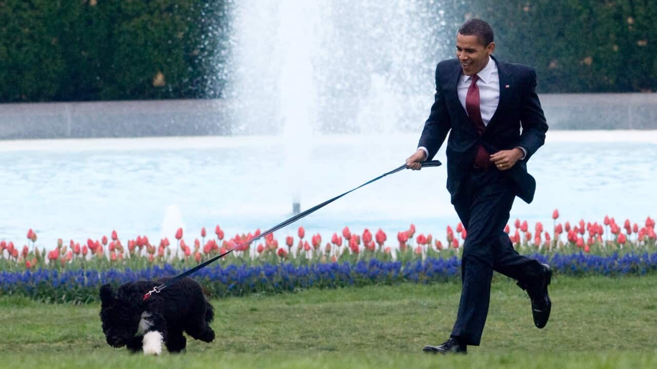 obama_pet_dog_aap.jpg