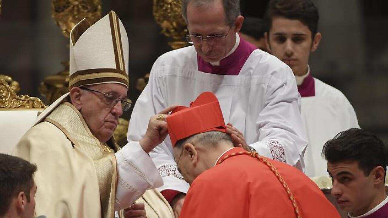 Pope Francis has named 17 new cardinals.