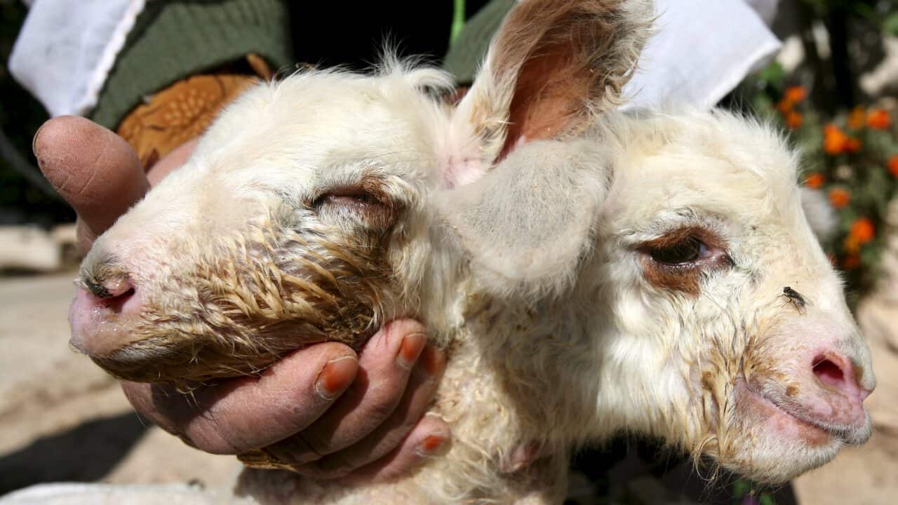 Image for read more article ''