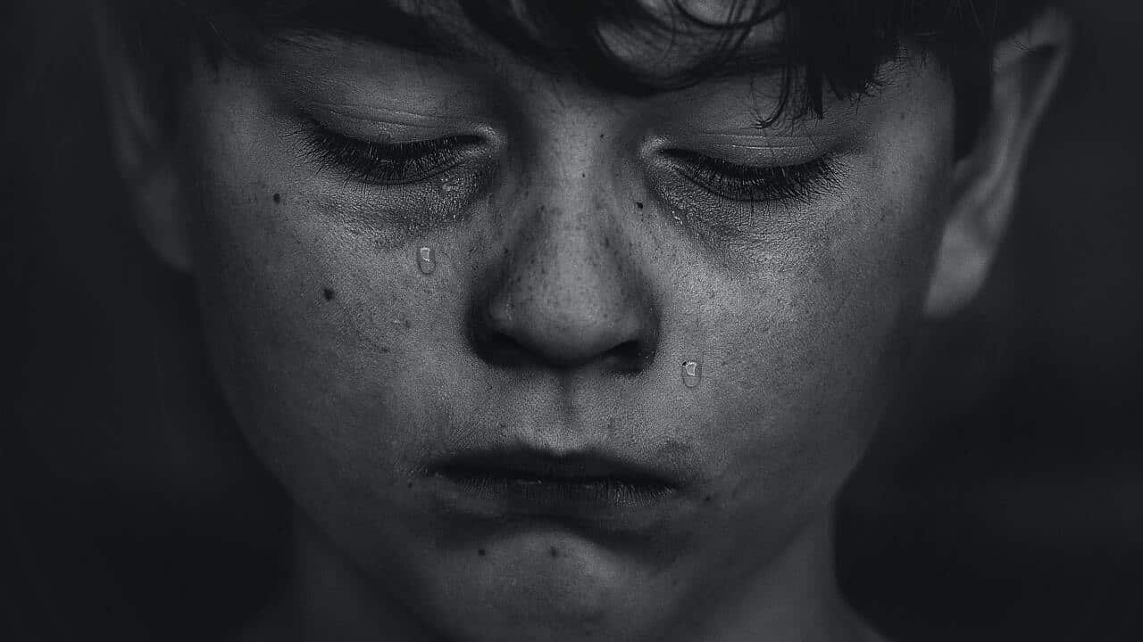 Image for read more article ''