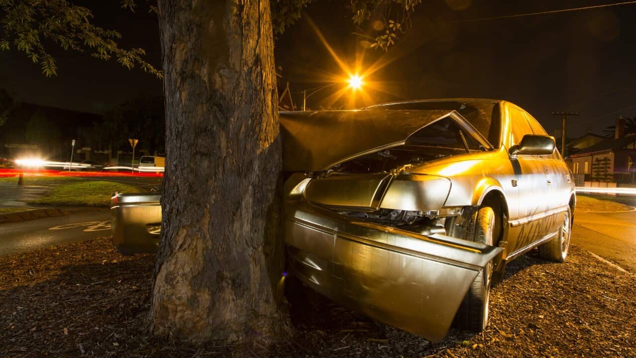 A car vs a tree (Getty Images - Tobias Titz)