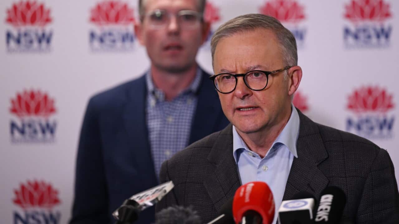 SBS News in Macedonian 6 July 2022