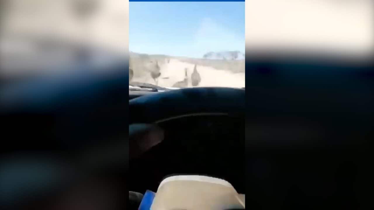 Image for read more article 'READ MORE'