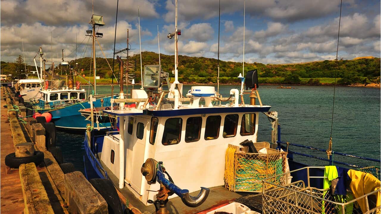 Lobster trawlers tied to the wharf inside Currie harbour, King Island Tasmania.