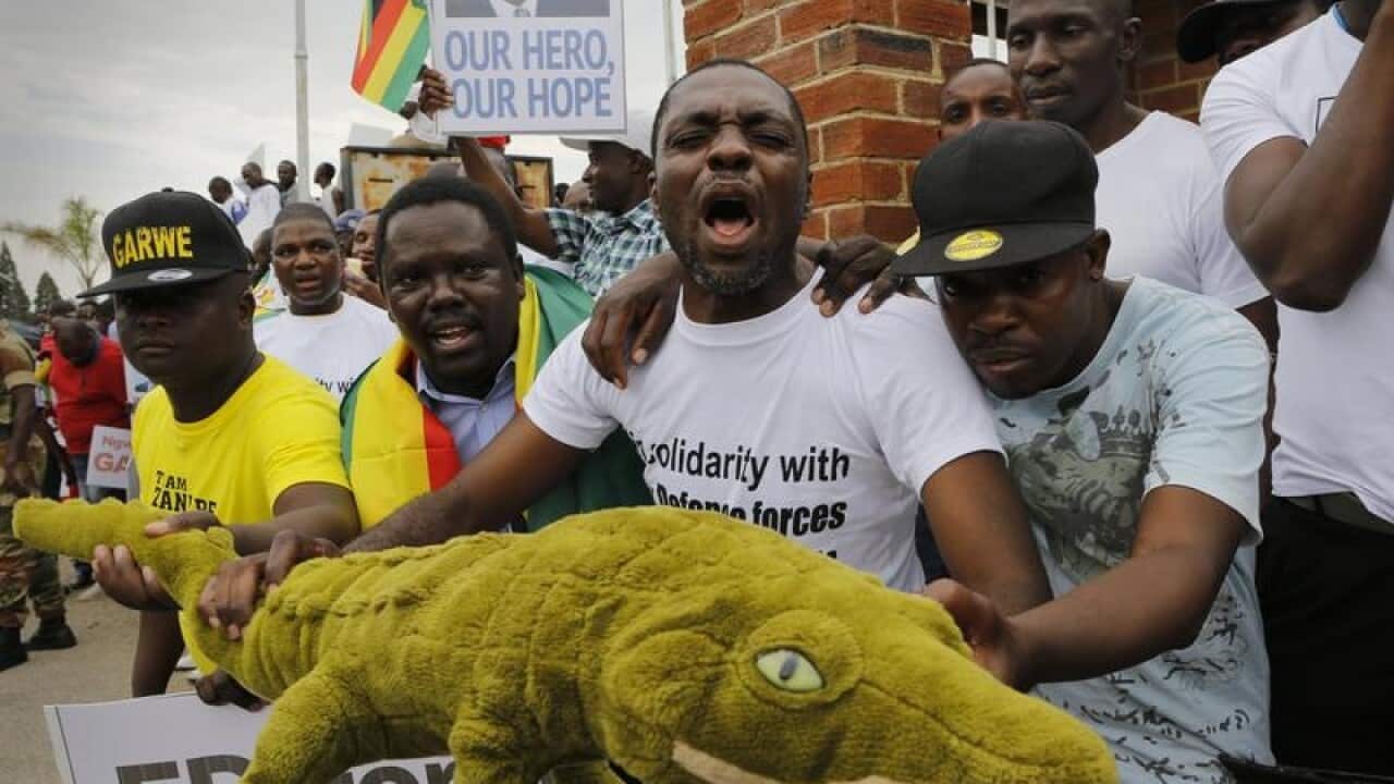 Zimbabweans wait for the return of Emmerson "crocodile" Mnangagwa.