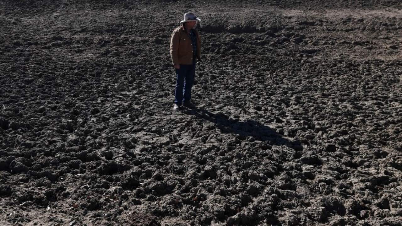 Parched earth on a farm in New South Wales