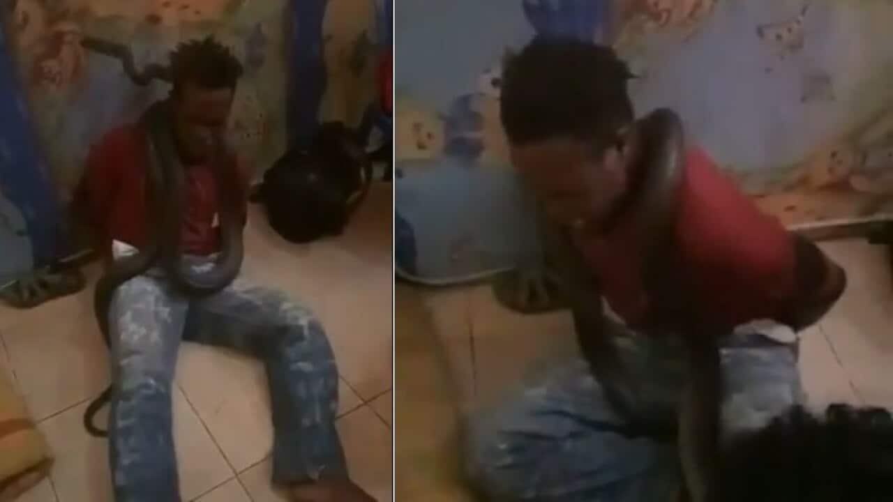 Indonesian cops snake