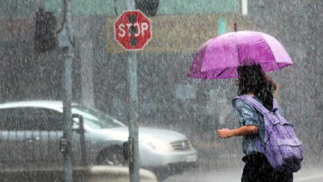 Western Australia's correspondence for SBS Greek