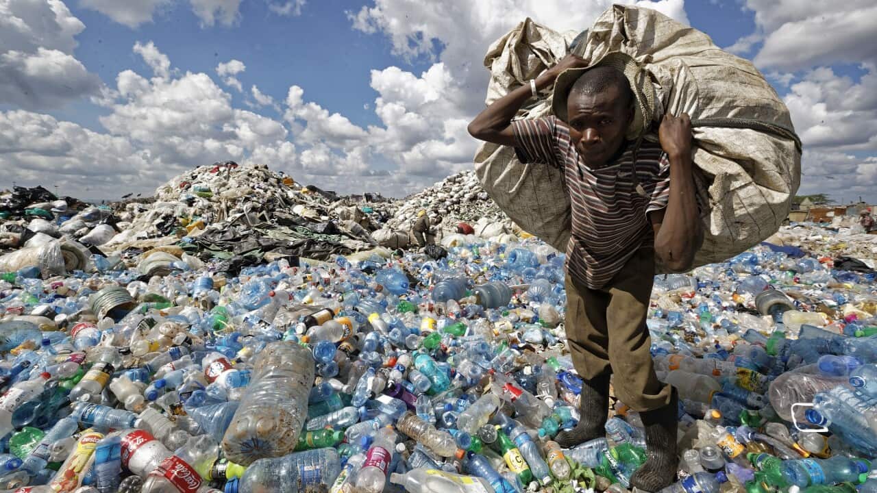 A man in the Dandora slum of Nairobi, Kenya walks on a mountain of plastic bottles as he carries a sack of them to be sold for recycling.