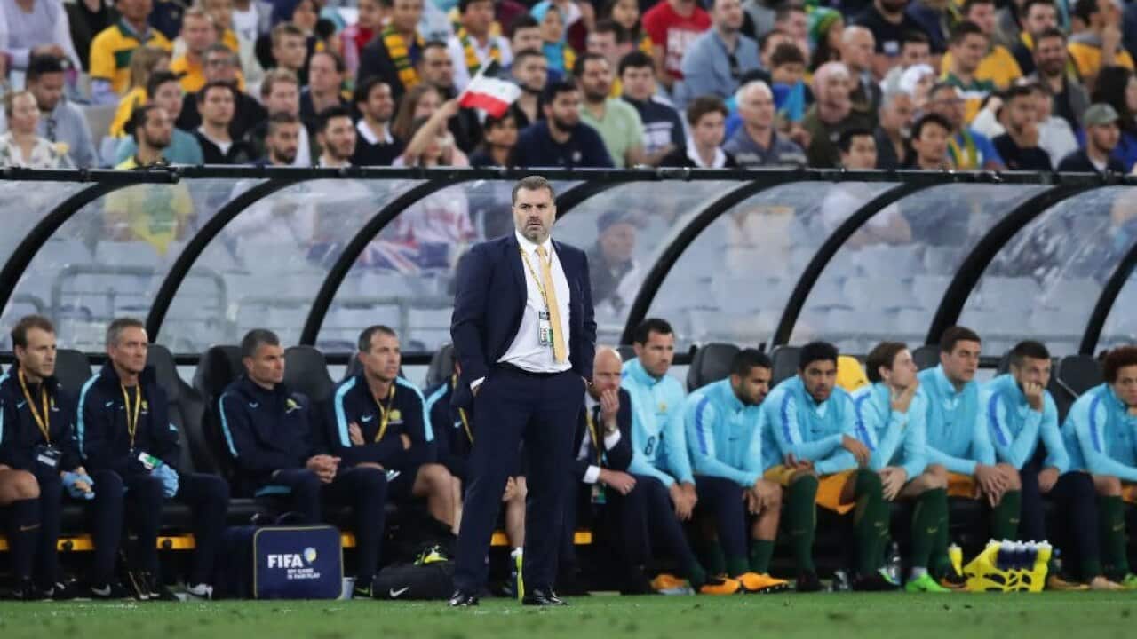 Ange Postecoglou