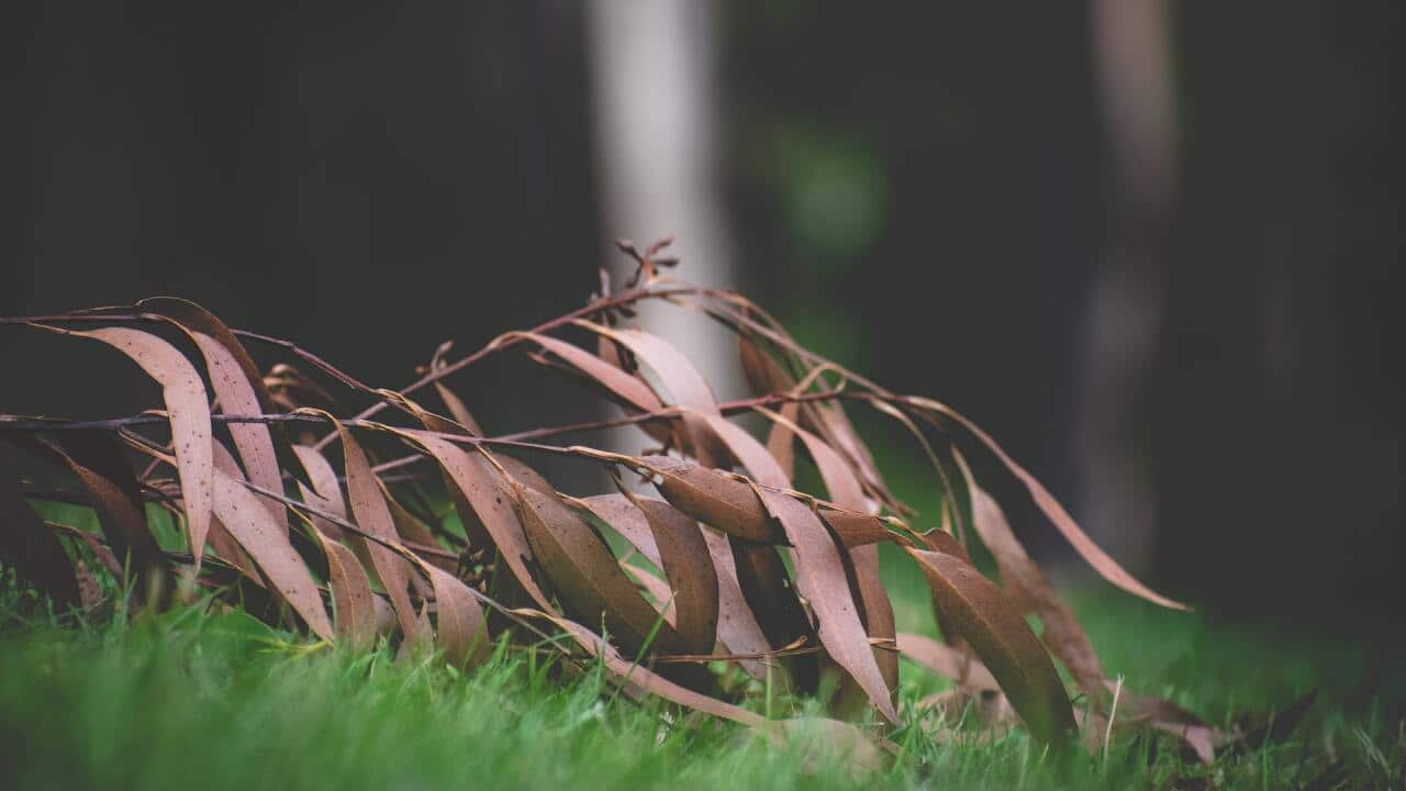 Photo by SHOT on Unsplash