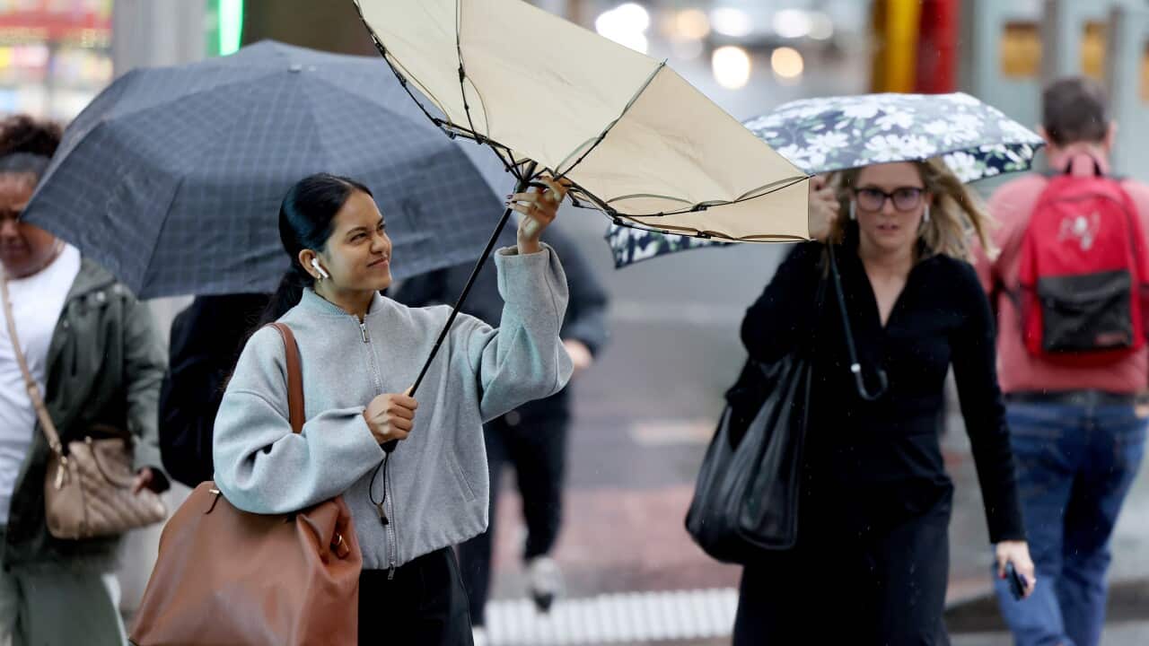 WET WEATHER SYDNEY