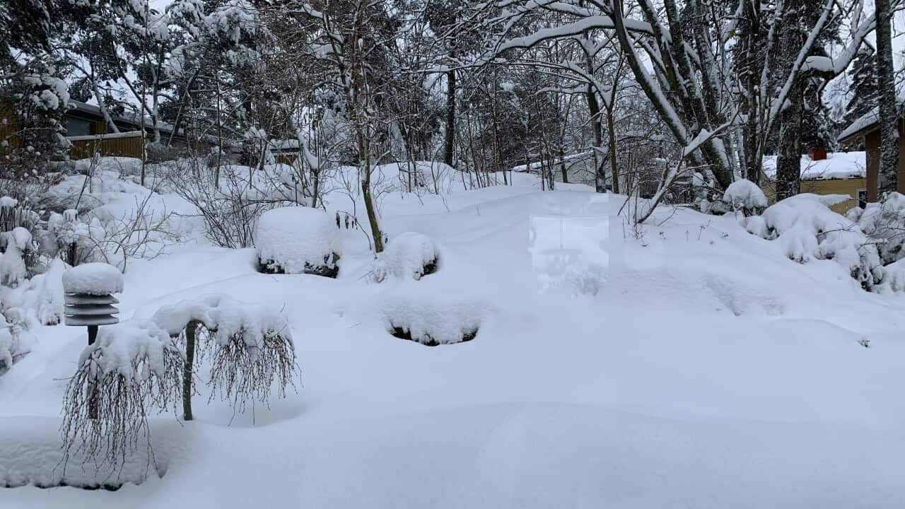 Early snow in Helsinki