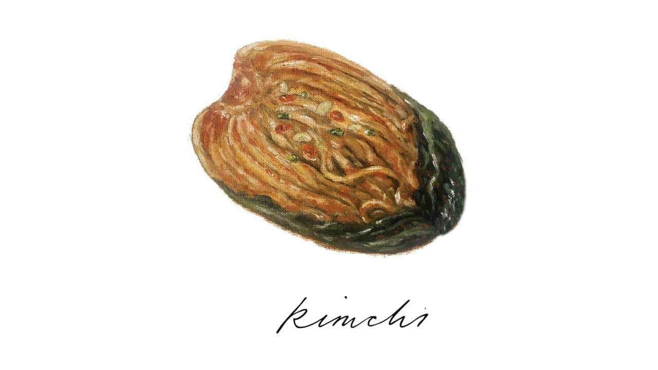 illustration of kimchi