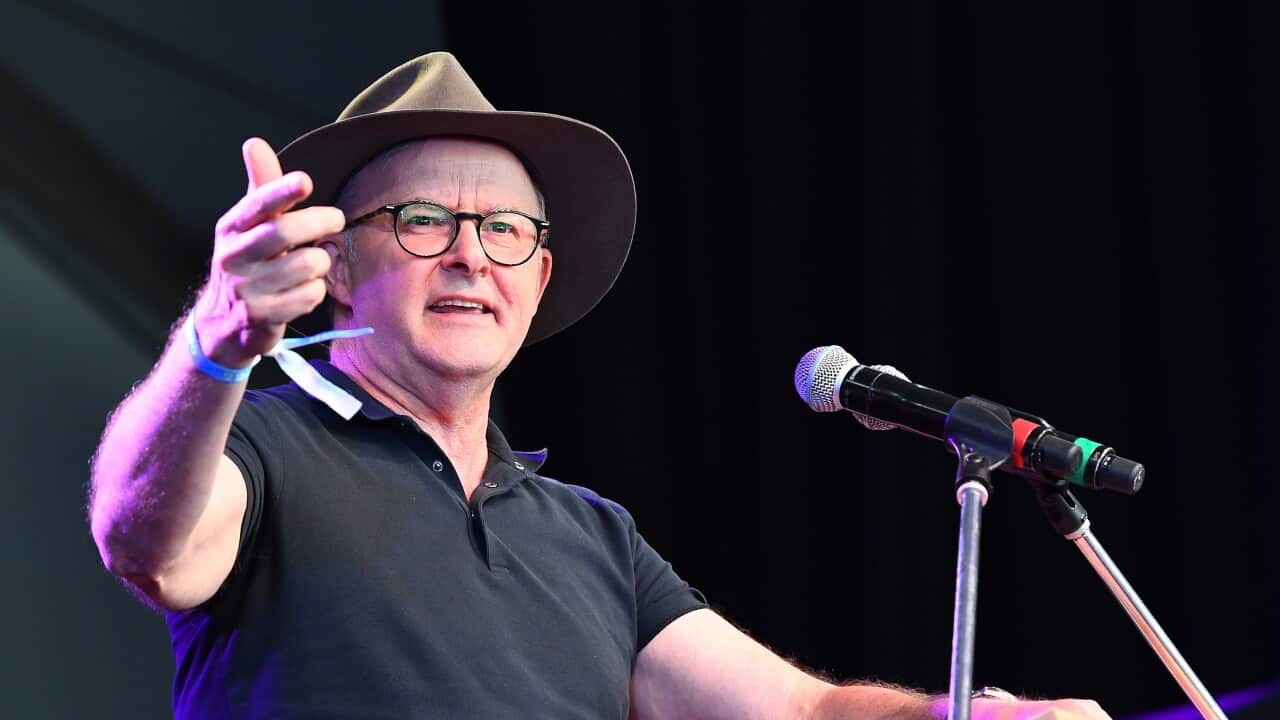 ANTHONY ALBANESE WOODFORD FESTIVAL