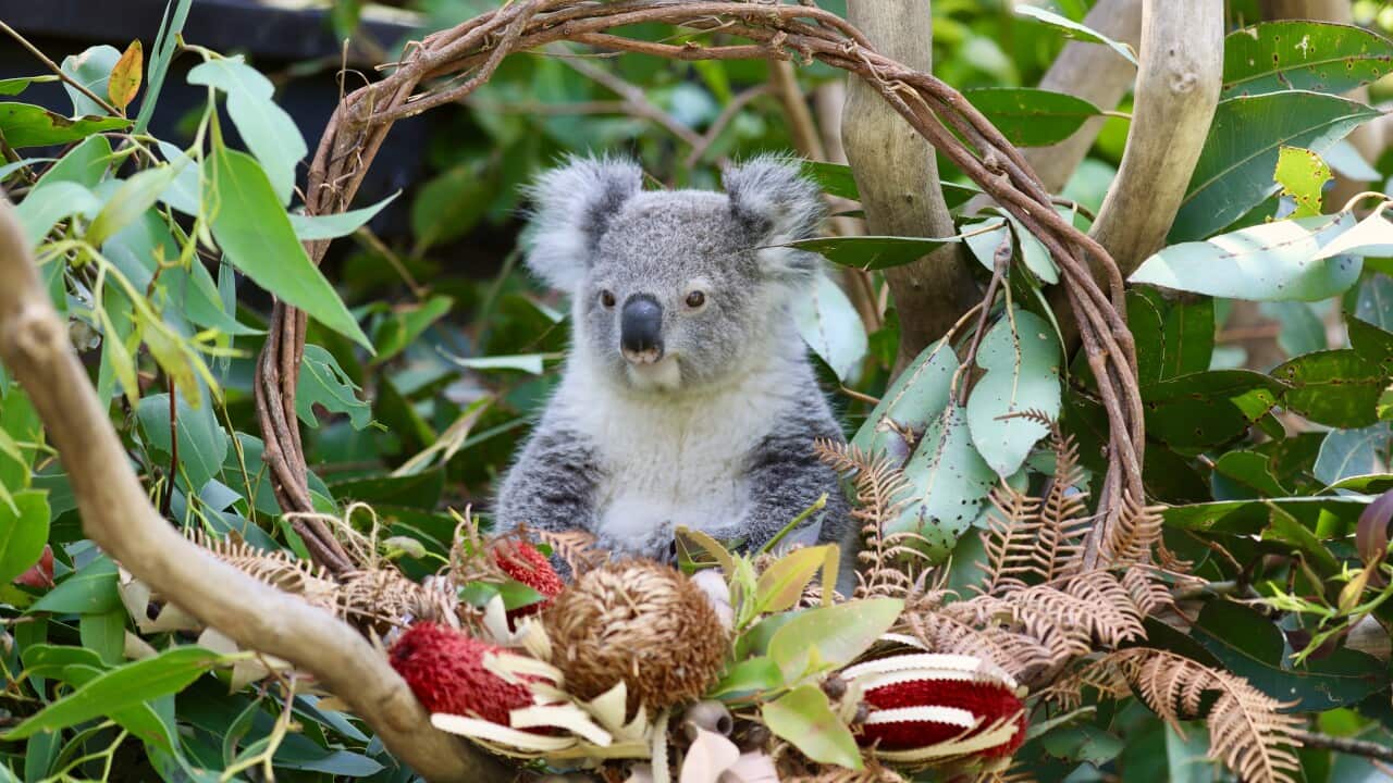 Image for read more article 'READ MORE'